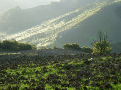 Corso di fotografia digitale 2009:  campagna toscana