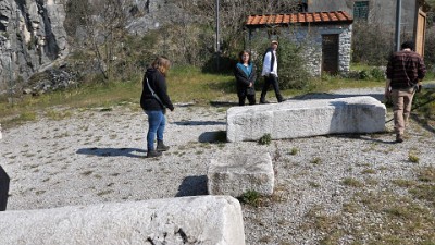 carrara 2025xxx